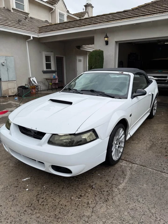 2003 Ford SN95 Mustang - Image 6 of 8