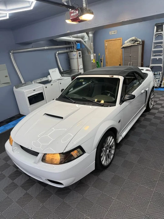 2003 Ford SN95 Mustang - Image 3 of 8