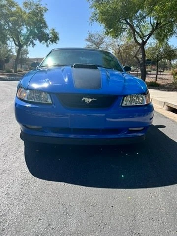 2003 Ford SN95 Mustang - Image 8 of 16