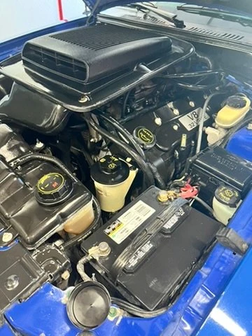 2003 Ford SN95 Mustang - Image 6 of 16