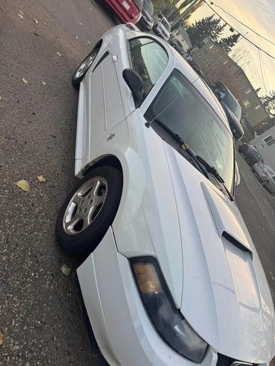 2003 Ford Mustang Mach-E - Image 5 of 5