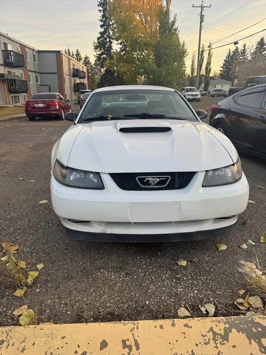 2003 Ford Mustang Mach-E - Image 4 of 5