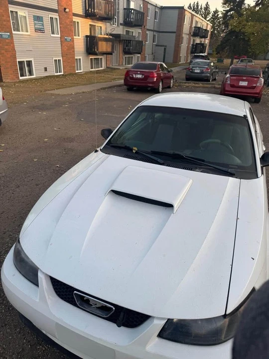 2003 Ford Mustang Mach-E - Image 2 of 5