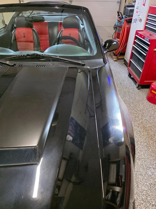 2003 Ford SN95 Mustang Cobra - Image 2 of 20