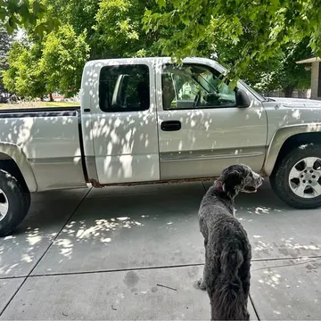 2003 GMC Sierra 1500 Regular Cab Long Bed
