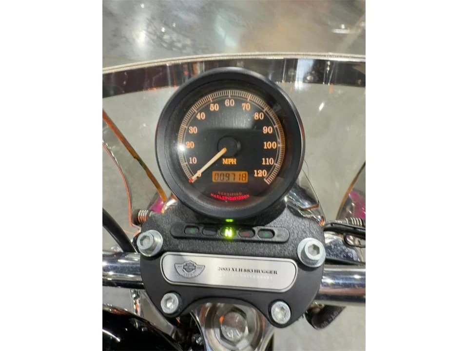 2003 Harley-Davidson Sportster Evolution - Image 16 of 16