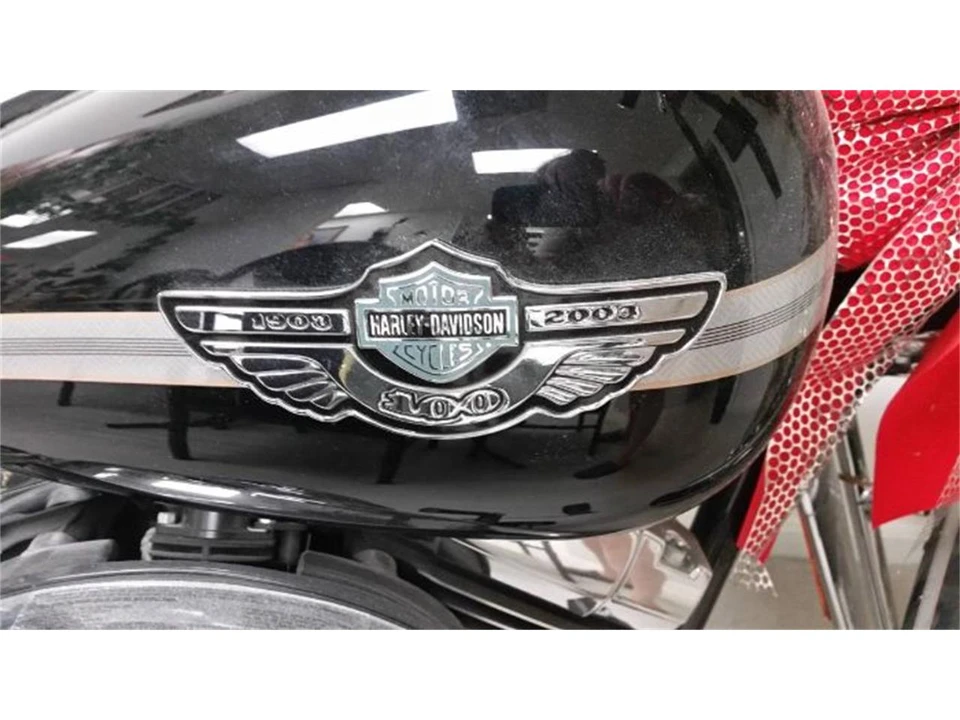 2003 Harley-Davidson Sportster Evolution - Image 4 of 13
