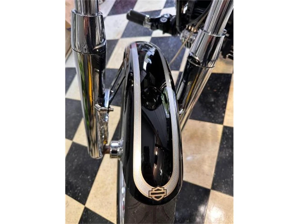 2003 Harley-Davidson Softail - Image 16 of 17