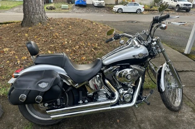 2003 Harley-Davidson Softail - Image 2 of 7