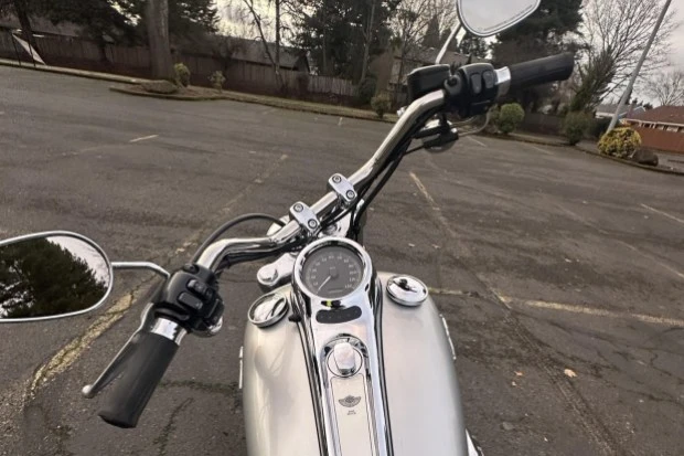 2003 Harley-Davidson Softail - Image 4 of 7