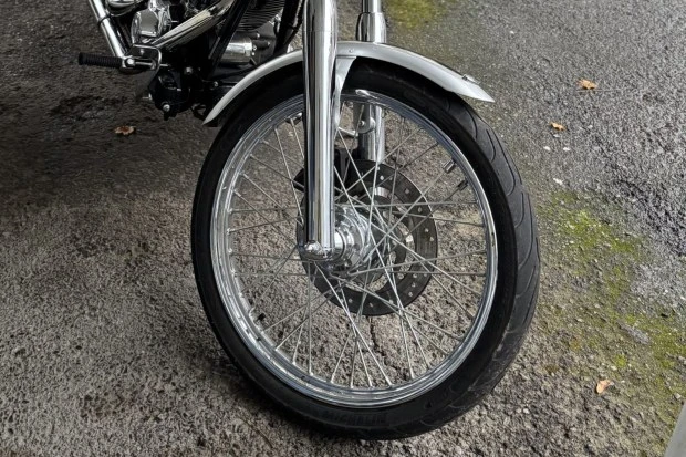 2003 Harley-Davidson Softail - Image 3 of 7