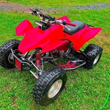 2003 Honda 300ex