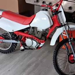 2003 Honda ATV - Image 17 of 17