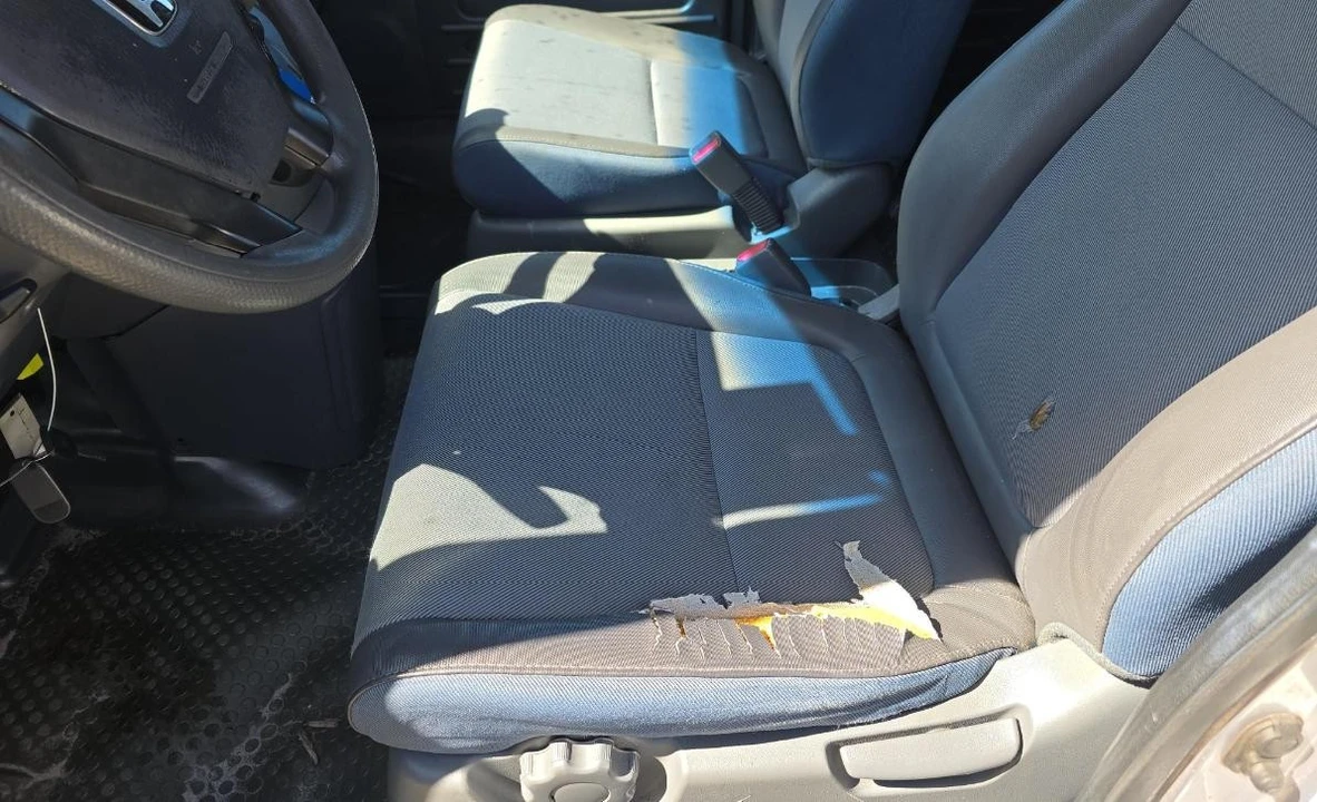 2003 Honda Element - Image 7 of 12