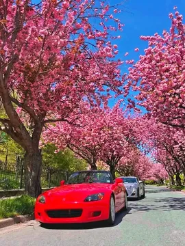 2003 Honda S2000