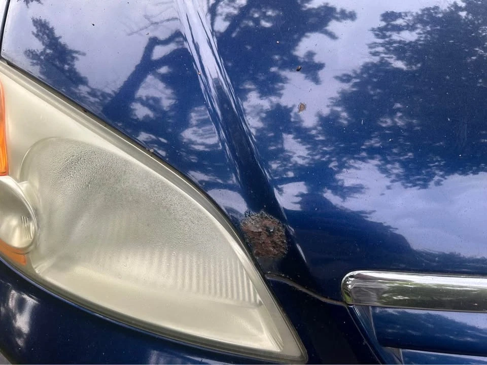 2003 Honda Civic 7th Gen - Image 6 of 17