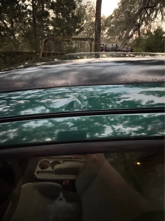2003 Honda CR-V 2nd Gen - Image 11 of 11