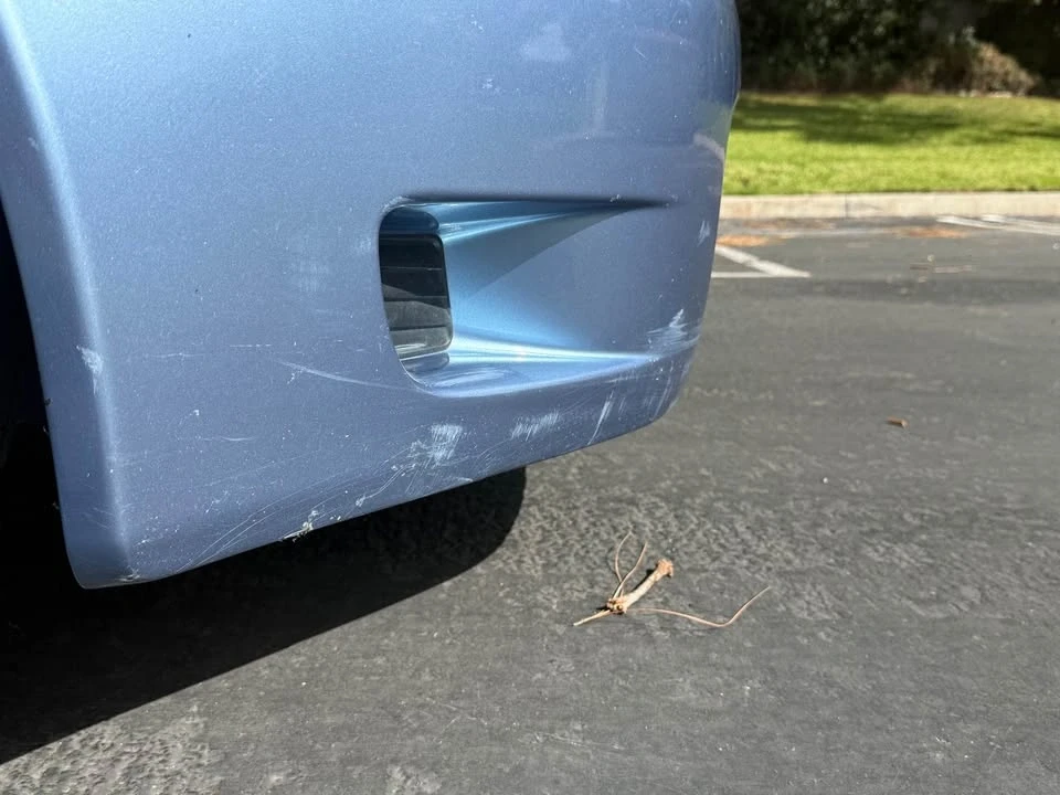 2003 Honda AP1 S2000 - Image 14 of 19
