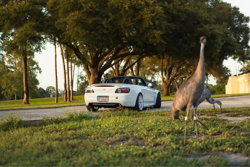 2003 Honda AP1 S2000 - Image 6 of 18