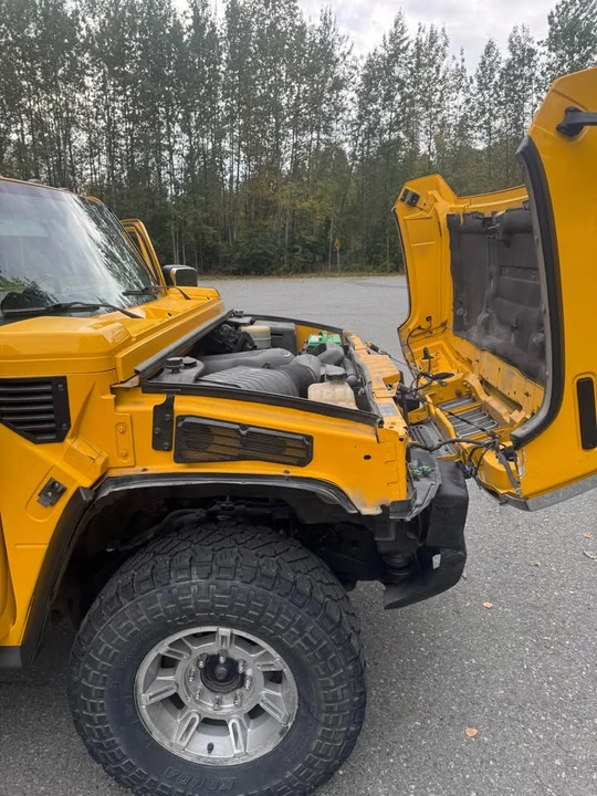 2003 Hummer Hummer H2 - Image 15 of 15