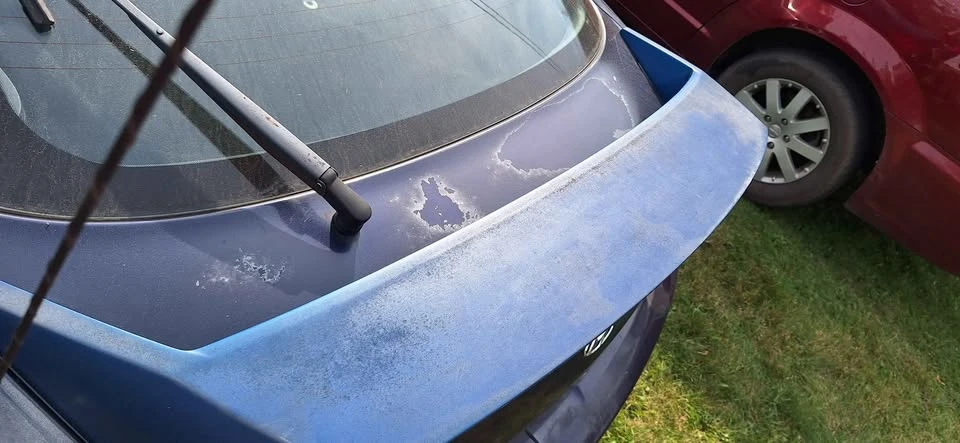 2003 Hyundai Tiburon - Image 6 of 10