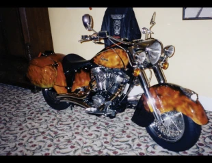 2003 Indian Chief - Image 3 of 6
