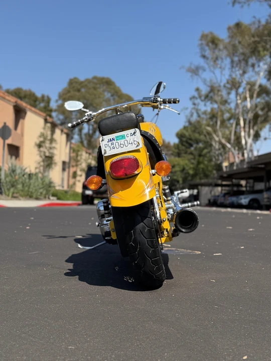 2003 Indian Scout - Image 15 of 31