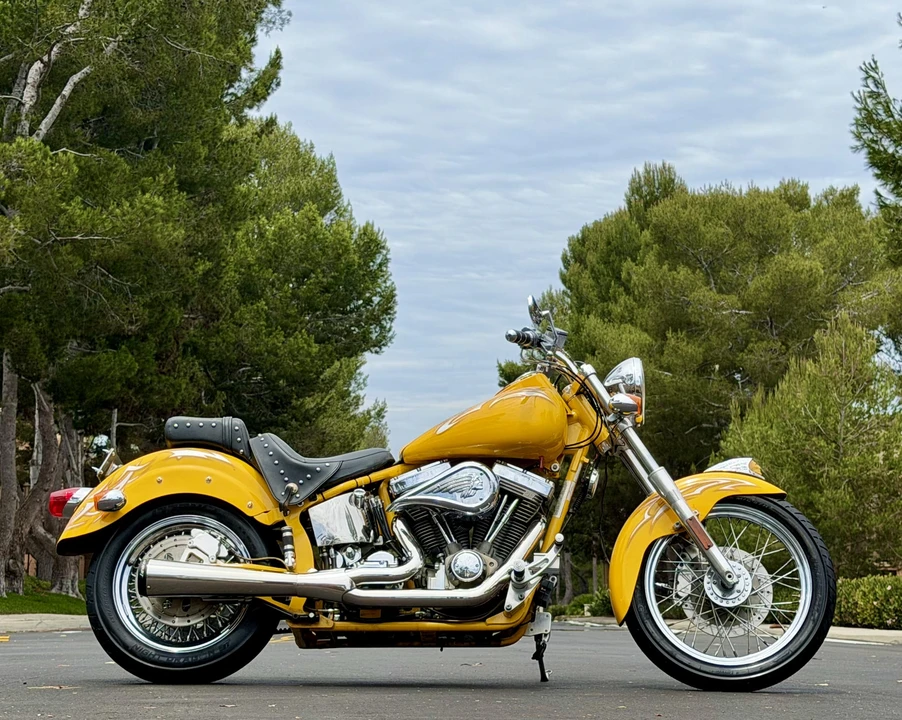 2003 Indian Scout - Image 4 of 31