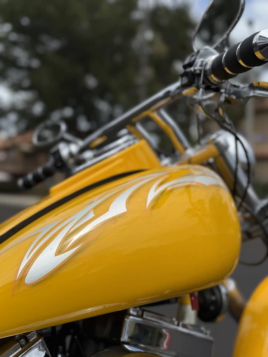 2003 Indian Scout - Image 29 of 31