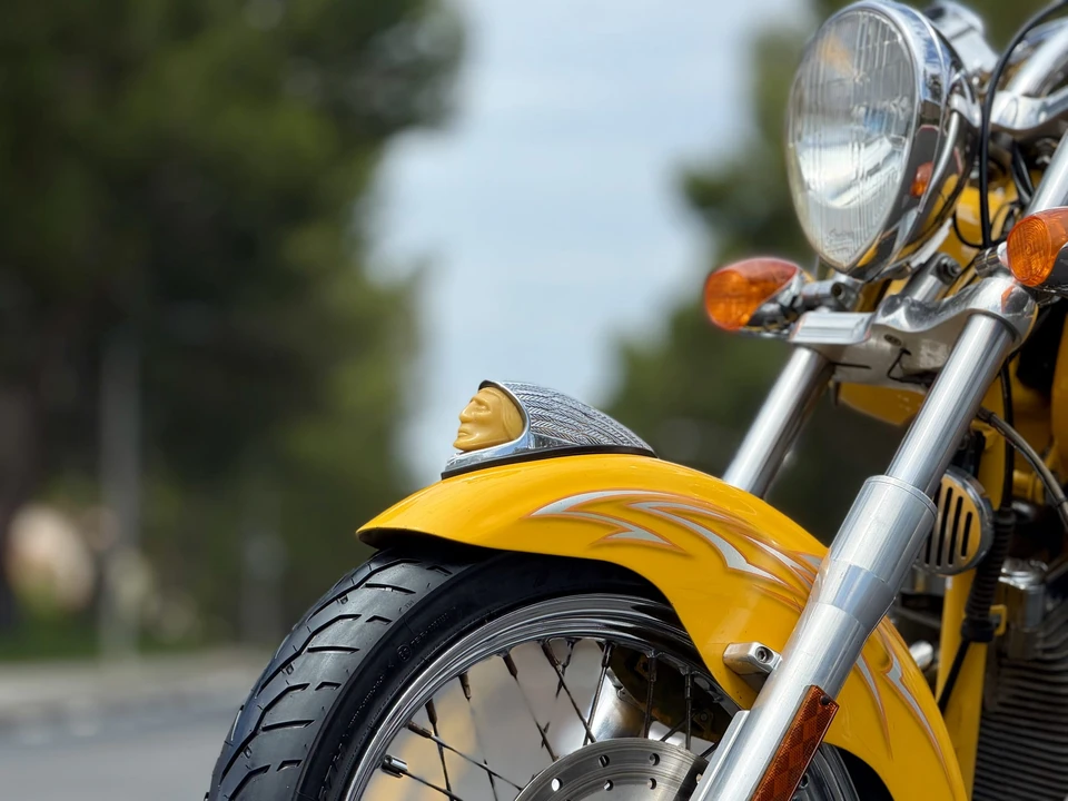 2003 Indian Scout - Image 20 of 31