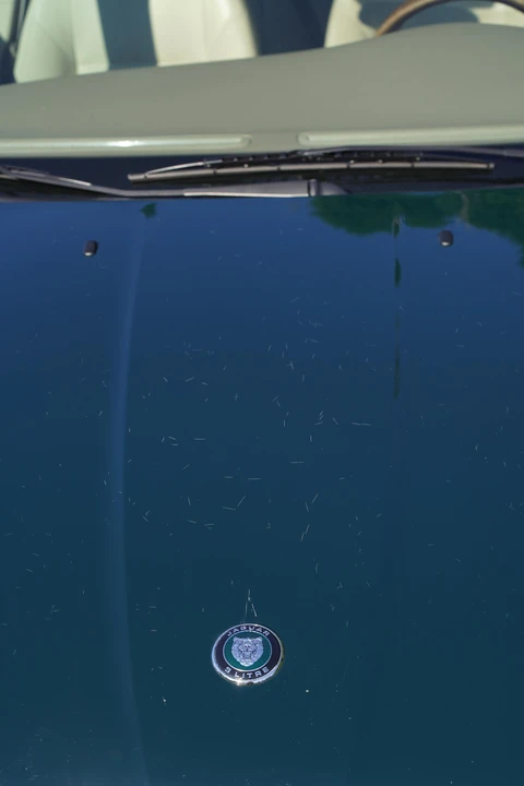 2003 Jaguar X-Type - Image 20 of 31