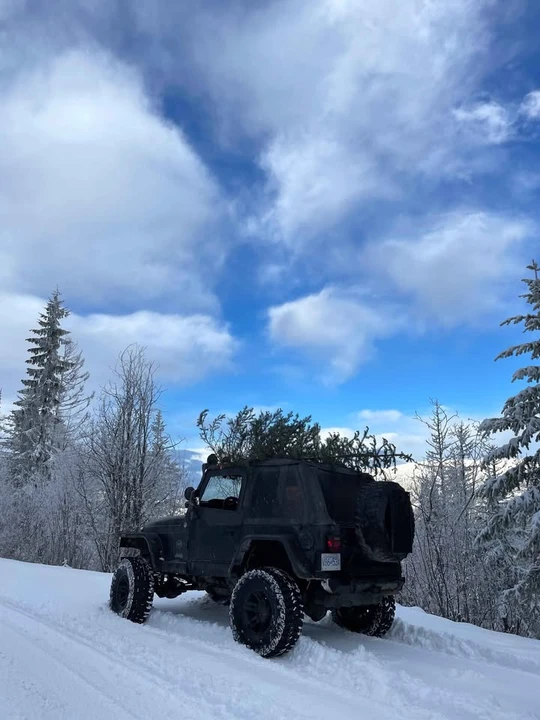 2003 Jeep TJ Wrangler - Image 8 of 9
