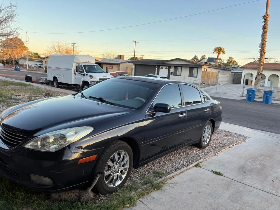 2003 Lexus ES 4th Gen - Image 10 of 10