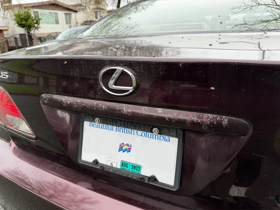 2003 Lexus ES 4th Gen - Image 12 of 19