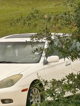 2003 Lexus ES 300 Sedan