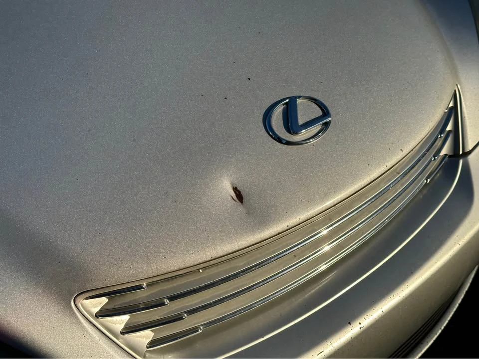 2003 Lexus ES 4th Gen - Image 6 of 11