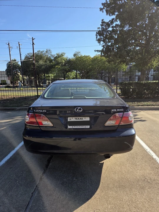 2003 Lexus ES 3rd Gen - Image 8 of 15