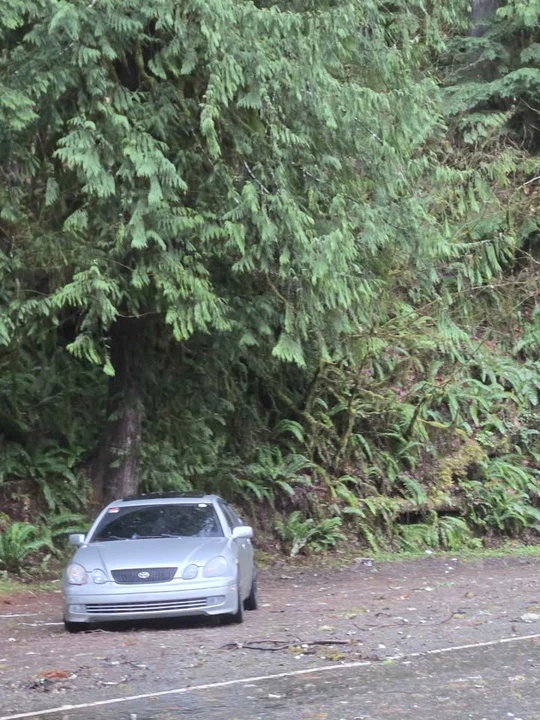 2003 Lexus GS 2nd Gen - Image 4 of 4