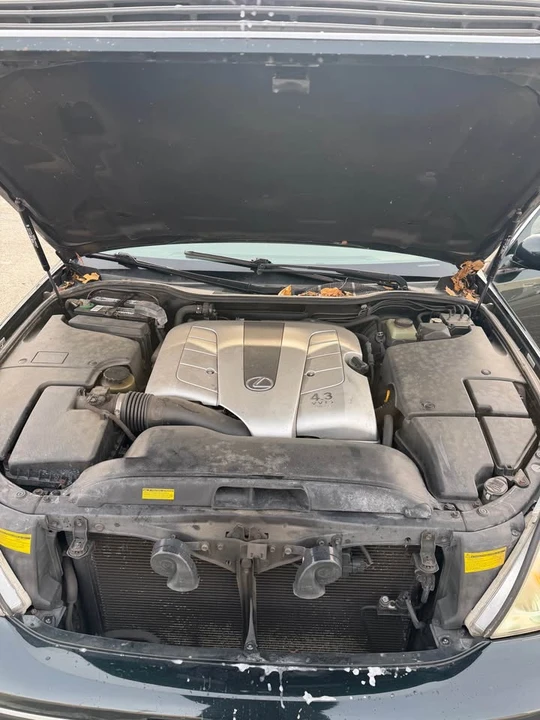 2003 Lexus LS 3rd Gen - Image 17 of 17