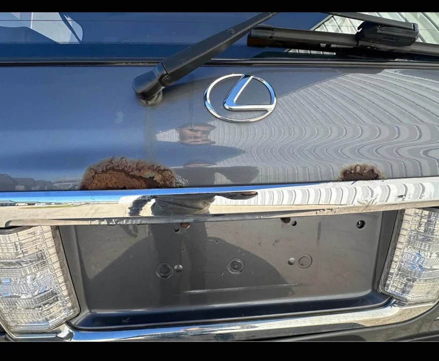 2003 Lexus LX 2nd Gen - Image 15 of 16