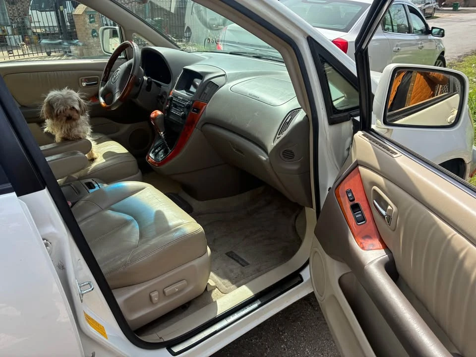 2003 Lexus RX 1st Gen - Image 4 of 6
