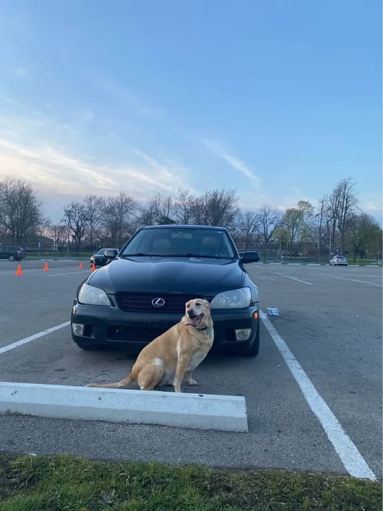 2003 Lexus IS 1st Gen - Image 2 of 4