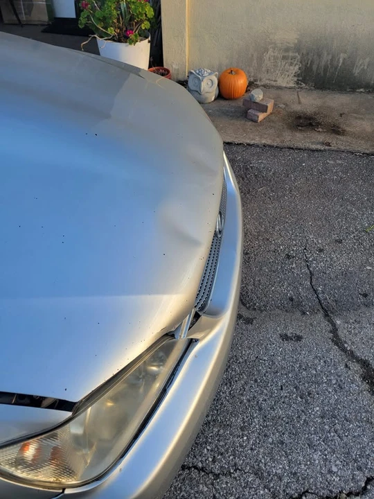 2003 Lexus IS 1st Gen - Image 10 of 14