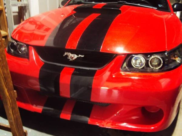 2003 Ford SN95 Mustang - Image 10 of 11
