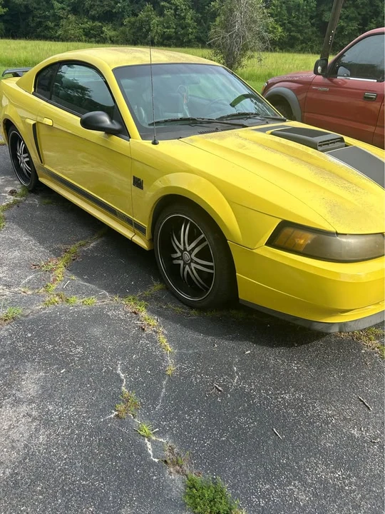 2003 Ford SN95 Mustang - Image 3 of 10
