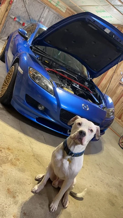 2003 Mazda RX-8 1st Gen - Image 2 of 4