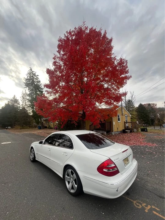 2003 Mercedes-Benz W211 E-Class - Image 11 of 11