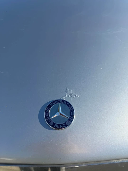 2003 Mercedes-Benz W220 S-Class - Image 9 of 16