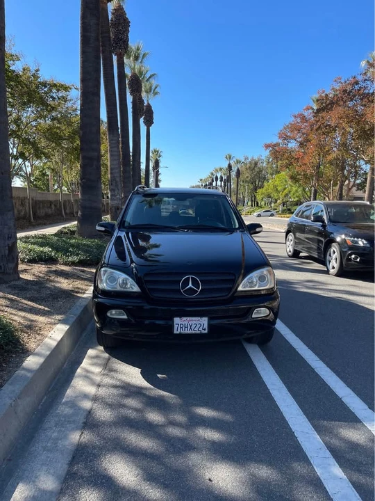 2003 Mercedes-Benz W163 M-Class - Image 3 of 10