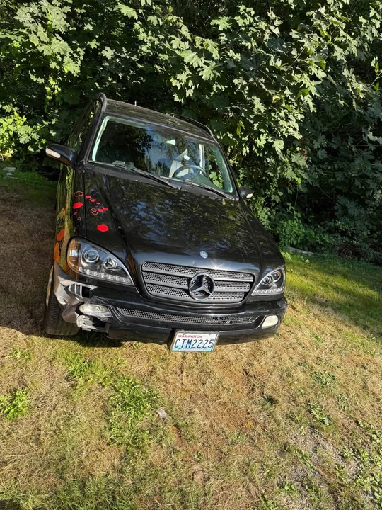 2003 Mercedes-Benz W163 M-Class - Image 13 of 19